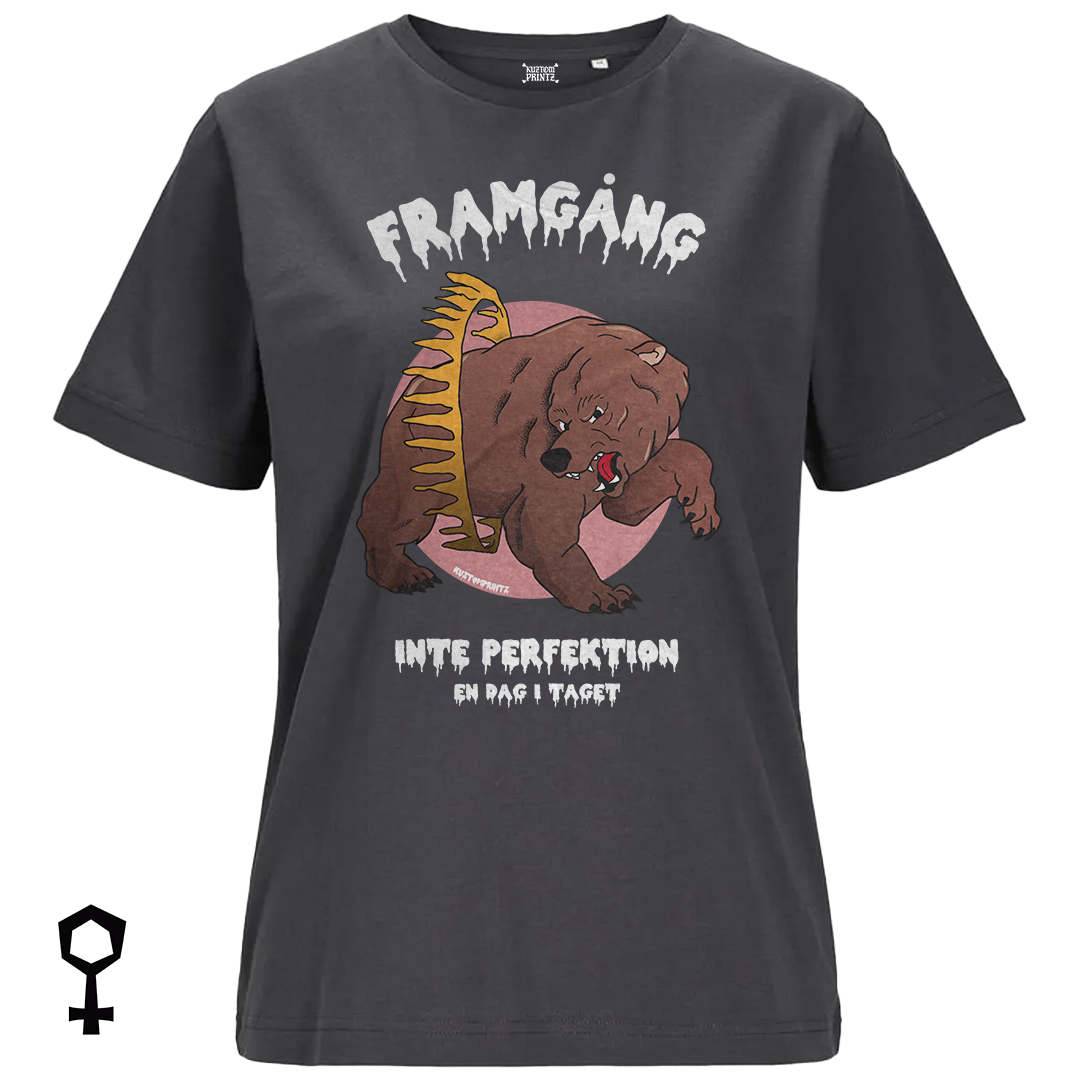 Framgång, inte perfektion