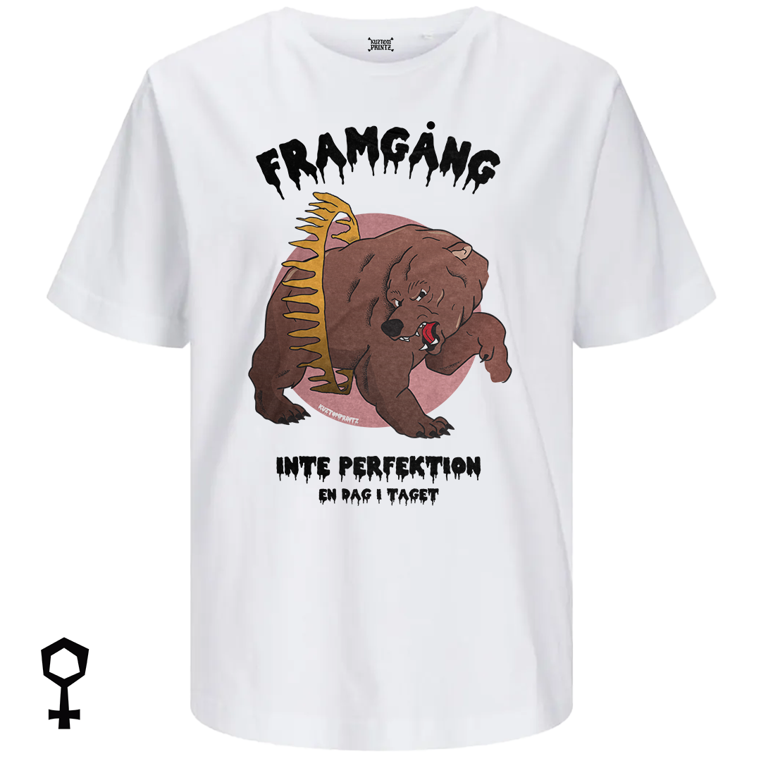 Framgång, inte perfektion