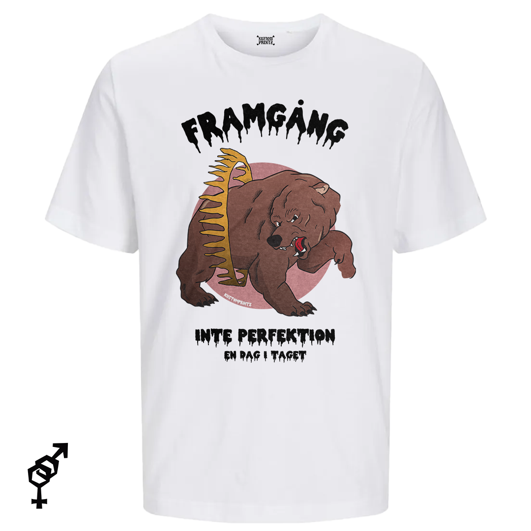 Framgång, inte perfektion