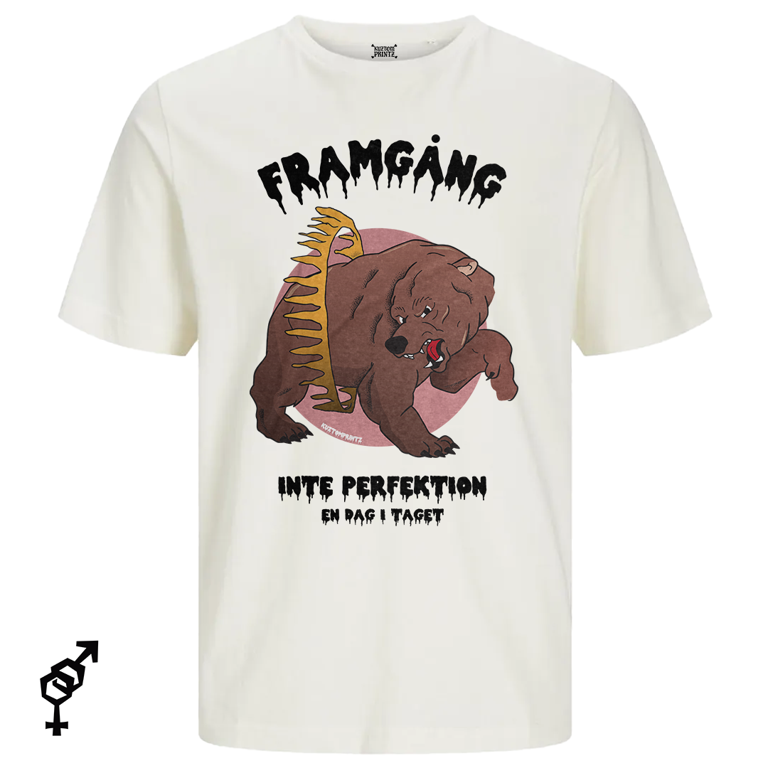 Framgång, inte perfektion